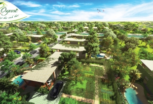 Mua Đất Biệt Thự Tặng Vườn Rau Hữu Cơ