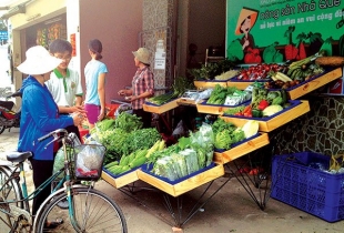 Chuyện rau, chuyện đời