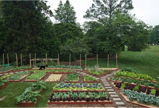 Obama mời người dân vào thăm vườn rau